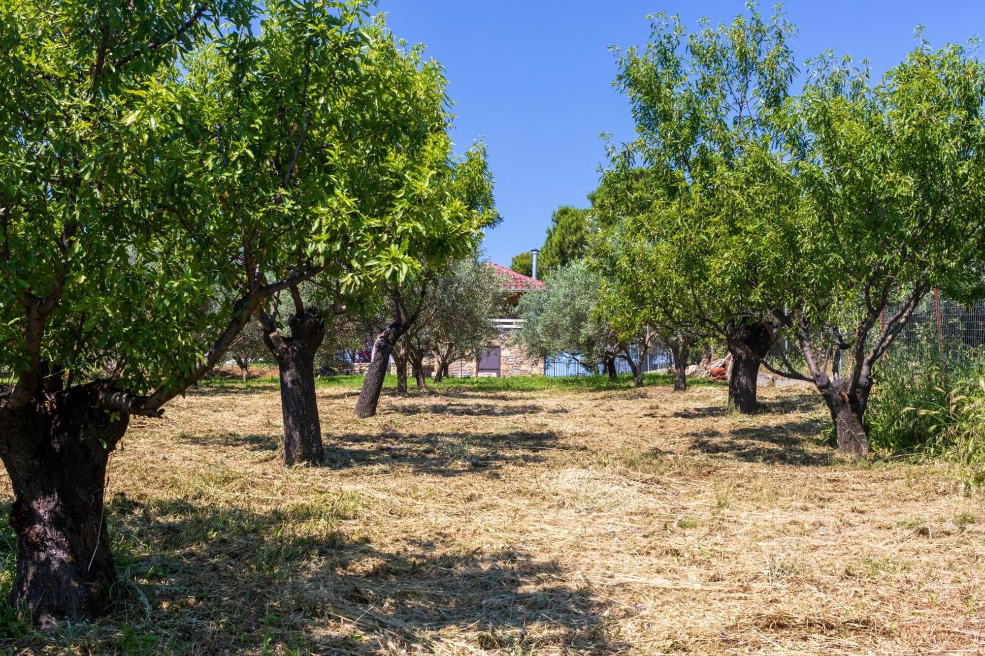 Managraia Villa Makrygialos Exterior photo